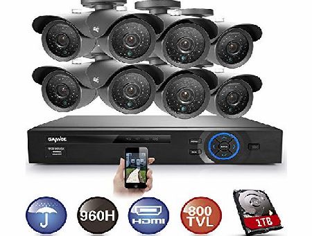 8CH Full 960H DVR w/ 1TB HDD CCTV Security System with 8 800TVL Hi-Resolution Night Vision Outdoor Surveillance Cameras Built-in IR-Cut Filter (Black)