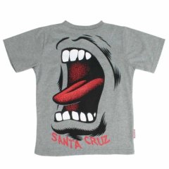 Santa Cruz Kids Santa Cruz Big Hand T-shirt Heather Grey