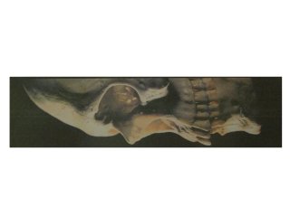 Large Skull Graphic Griptape