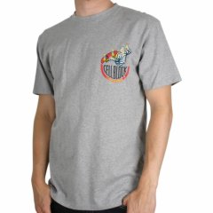 Mens Santa Cruz Cell Block Tee Heather Grey