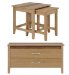Santiago Trunk Coffee Table and Nest of Tables