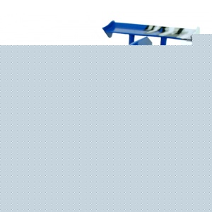 Remote Controlled Racer