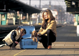 Savic City Caddy Claret 48x33x33cm