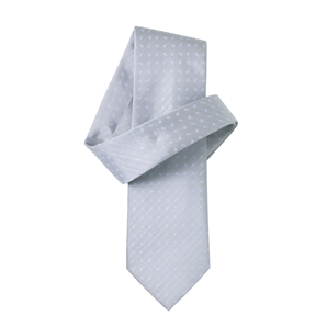 Grey Pale Blue Paisley Pure Silk Tie