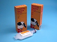 Blackleg Vaccine