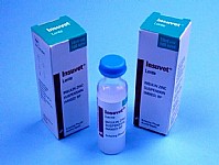 Schering-Plough Insuvet Lente