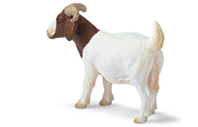 Schleich Boer She-Goat