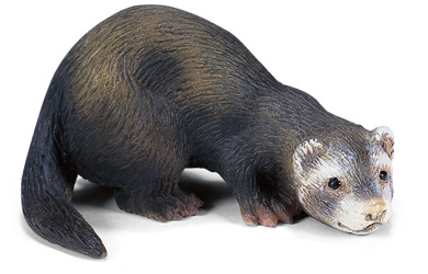 Schleich Ferret