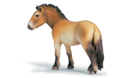 schleich Prezwalskis Horse