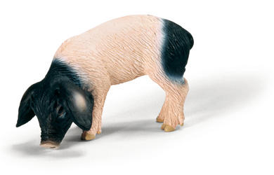 Schleich Swabian-Hall Piglet Eating