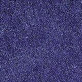 Scolaire Ltd Blue Scatter