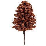 Scolaire Ltd Large Beech Tree