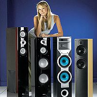 Scott SD77F Rosewood