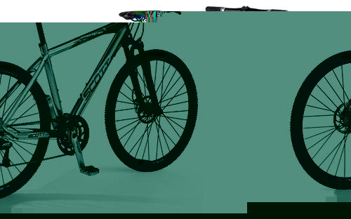 Sportster Limited 2006 Bike