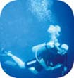 Scuba Diving Discovering Scuba Experience Day