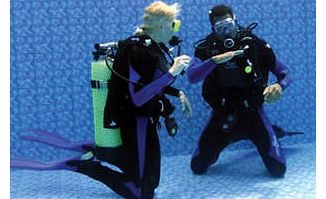 Scuba Diving Experience for One in Essex