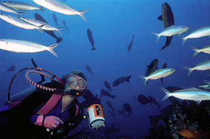 Scuba Diving (for two)