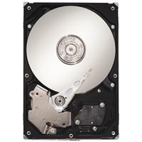160GB hard disk drive Barracuda PATA IDE 7200rpm 8MB cache oem with manufacturer` 5yr warranty