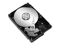 Barracuda 7200.10 - hard drive - 400 GB - SATA-300