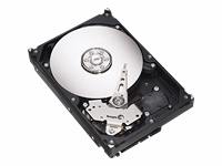 Seagate Barracuda Hard drive - 250GB - 8 MB Cache