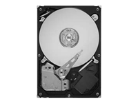 SEAGATE Barracuda LP ST32000542AS - hard drive -