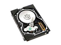 Seagate Cheetah X15-36LP - Hard drive - 36.7 GB - standard - 3.5" - SCSI Ultra320 - 15000 rpm - 8 MB