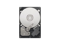 SEAGATE Pipeline HD ST31000533CS