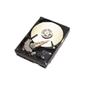 Seagate ST3200822A-RK