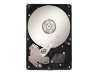 SEAGATE SV35.2 Series ST3160815SV