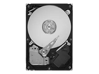 Seagate SV35.3 Series ST3500320SV - hard drive - 500 GB - SATA-300