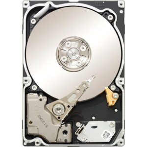 Seagate Technology Seagate Constellation ES ST31000425SS 1 TB
