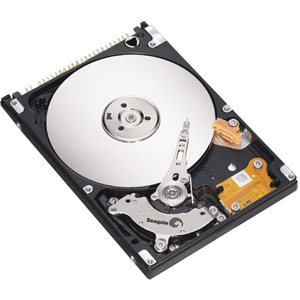 Seagate Technology Seagate Momentus ST9750420AS 750 GB Plug-in