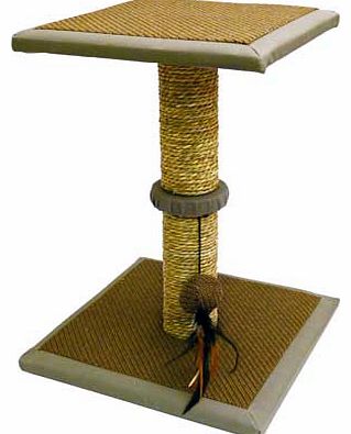 Seagrass Cat Scratching Tree