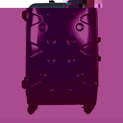 Seahawk Mendoza II Trolley Case 26