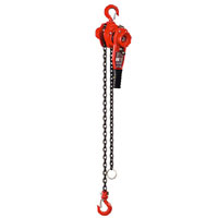 Sealey Lever Hoist Steel 750kg