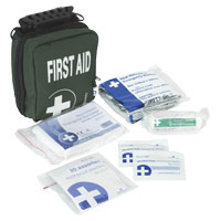 Compact Travel First Aid Kit