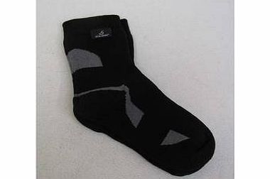 Sealskinz Thin Ankle Sock - Eu 36-38 (ex Display)