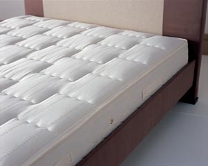 Sealy Backcare- 4FT Mattress