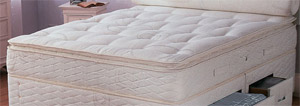 Sealy Pillow Comfort- 3 ft Mattress