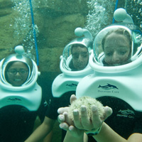 SeaVenture at Discovery Cove SeaVenture Ticket