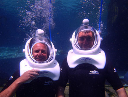 SeaVenture Discovery Cove Ticket