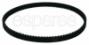 Primary Drive Belt
