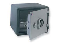 SECURELINE DOC EXEC FIRE SAFE