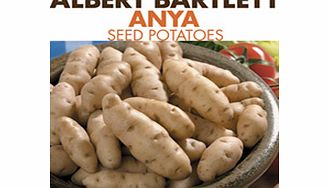 Seed Potatoes - Anya 1kg