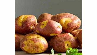 Seed Potatoes - Apache 1kg