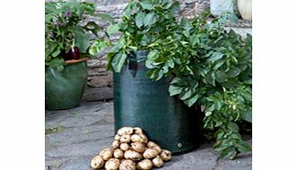 Seed Potatoes - Bargain Patio Growing Kit