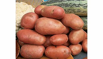 Seed Potatoes - Desiree 1kg