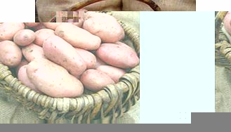 Seed Potatoes - Sarpo Mira 1kg