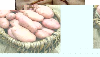 Seed Potatoes - Sarpo Mira 1kg