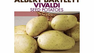 Seed Potatoes - Vivaldi 1kg (Late Season)